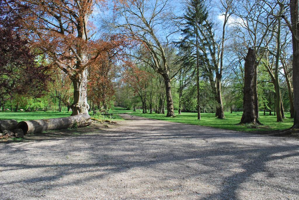 Domaine De Vauluisant Villa Courgenay Exterior photo